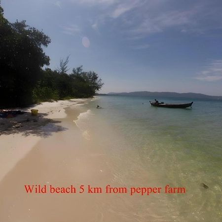 Pepper Farm Phu Quoc Bungalow エクステリア 写真
