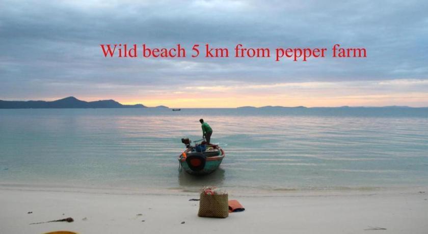 Pepper Farm Phu Quoc Bungalow エクステリア 写真