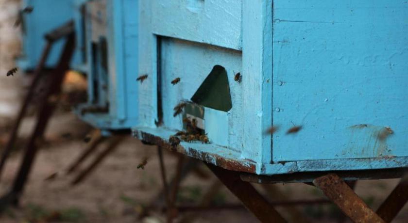 Pepper Farm Phu Quoc Bungalow エクステリア 写真