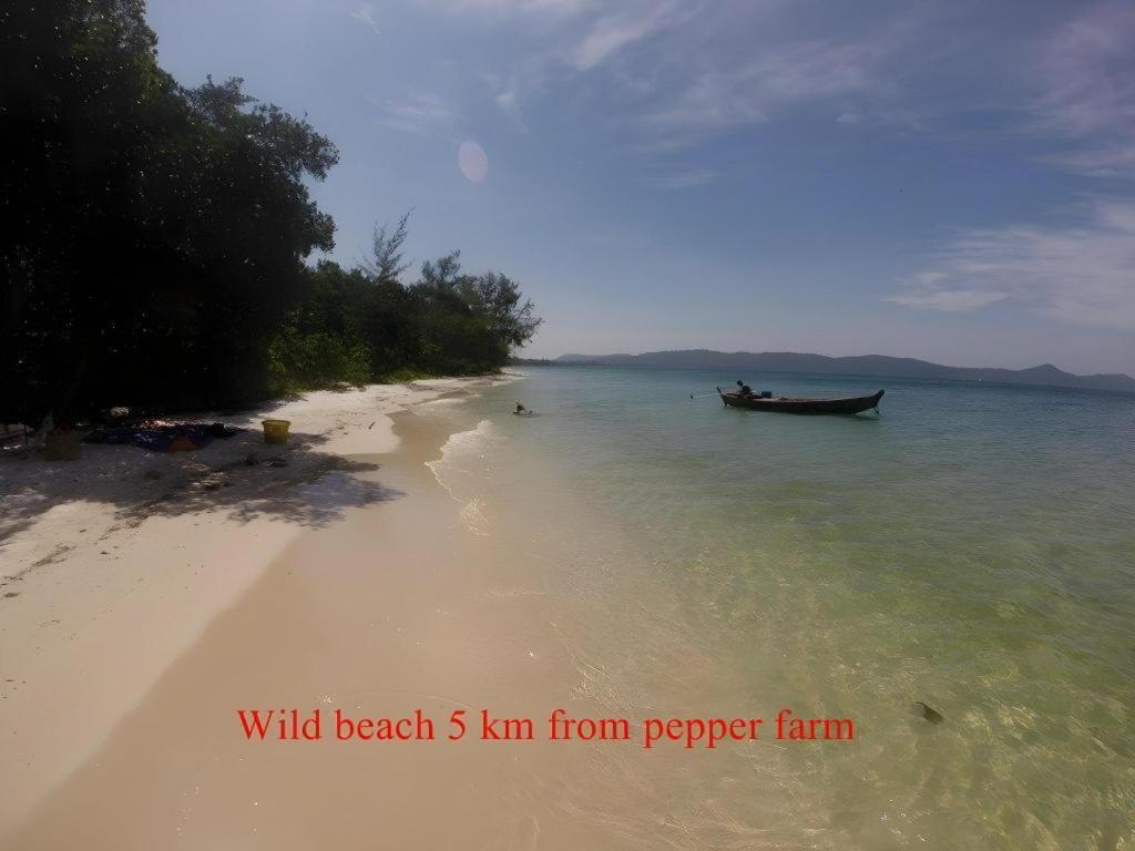 Pepper Farm Phu Quoc Bungalow エクステリア 写真
