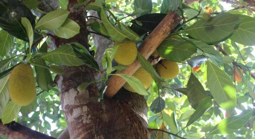 Pepper Farm Phu Quoc Bungalow エクステリア 写真